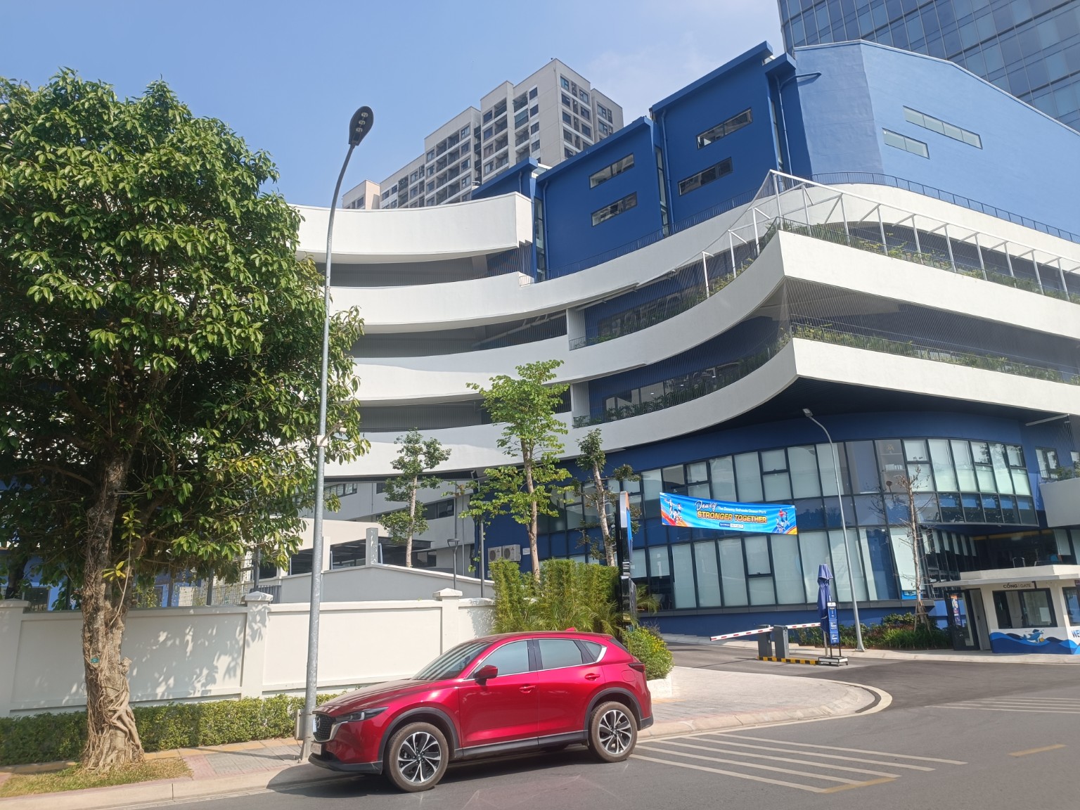 Nội thất thư viện – The Dewey Schools Ocean Park - ảnh thi công 4